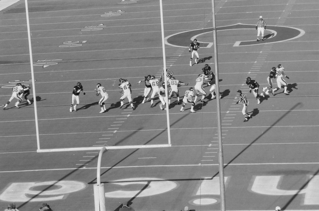 Chicago Bears fans at playoff game at Soldier Field - Chicago Sun-Times