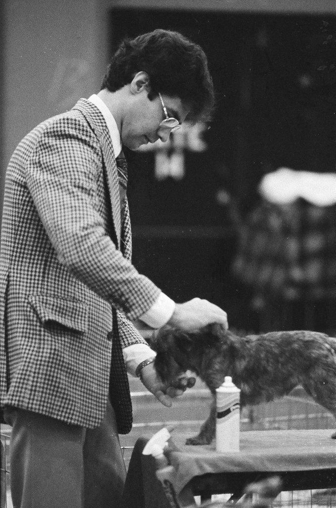 Dogs are evaluated at the 6th Annual Fall Dog Show - Chicago Sun-Times