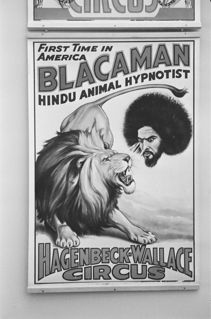 Circus animals and posters - Chicago Sun-Times