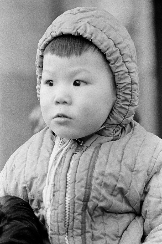 Chinese New Year celebrations in Chinatown - Jack Dykinga for Chicago Sun-Times