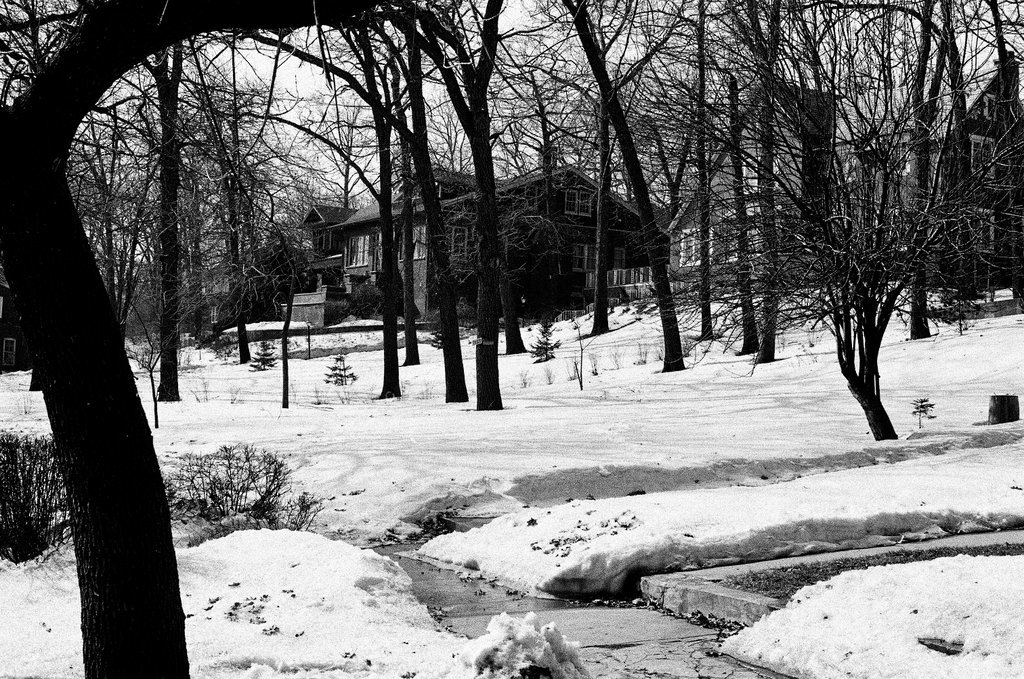 Morgan Park neighborhood in winter - Ray Burley for Chicago Sun-Times