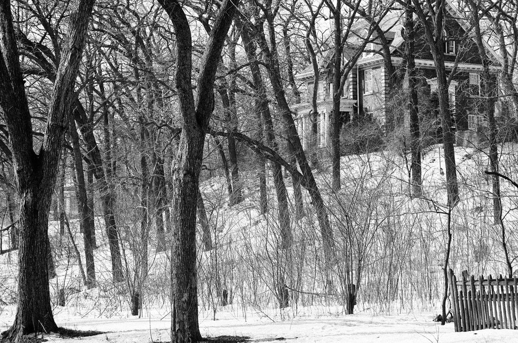 Morgan Park neighborhood in winter - Ray Burley for Chicago Sun-Times
