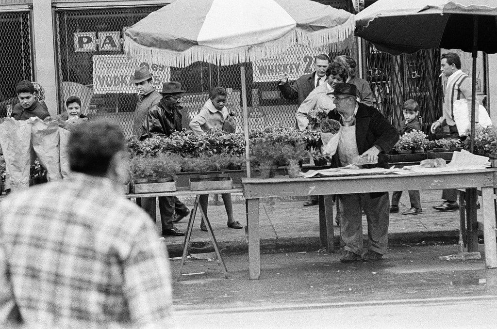 Market on Maxwell Street - Gary Settle for Chicago Sun-Times