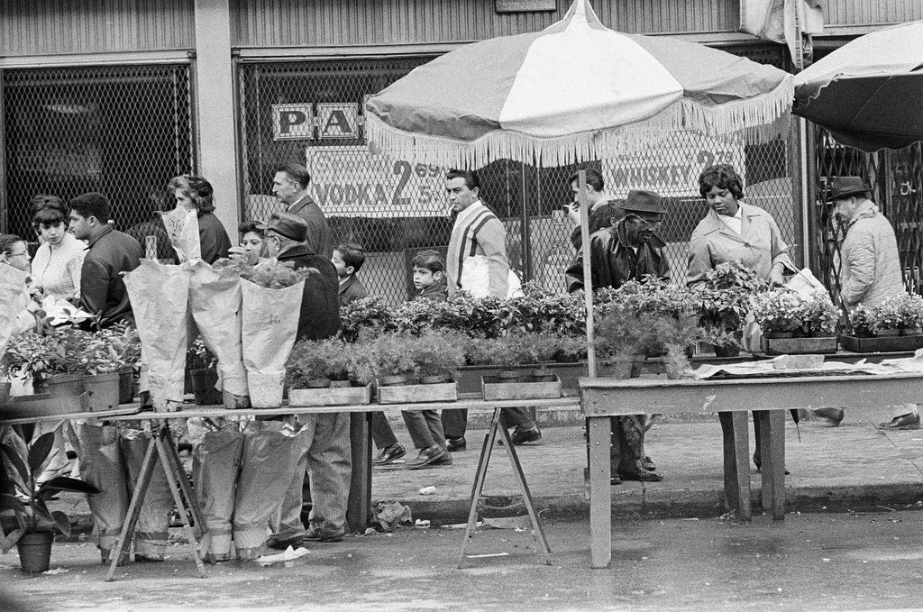 Market on Maxwell Street - Gary Settle for Chicago Sun-Times