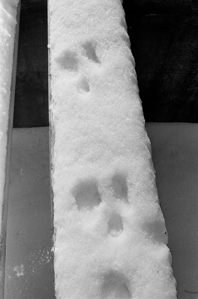 Riverview Amusement Park attractions covered in snow - Chicago Sun-Times