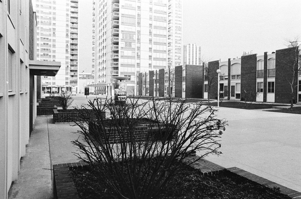 Neighborhood around Maxwell Street - Chicago Sun-Times