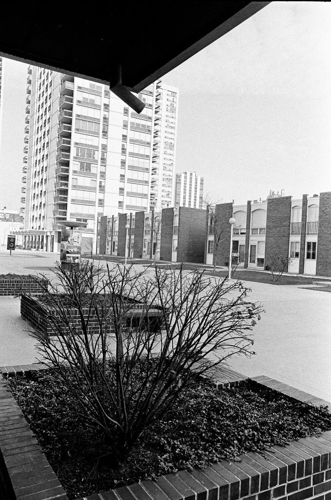 Neighborhood around Maxwell Street - Chicago Sun-Times
