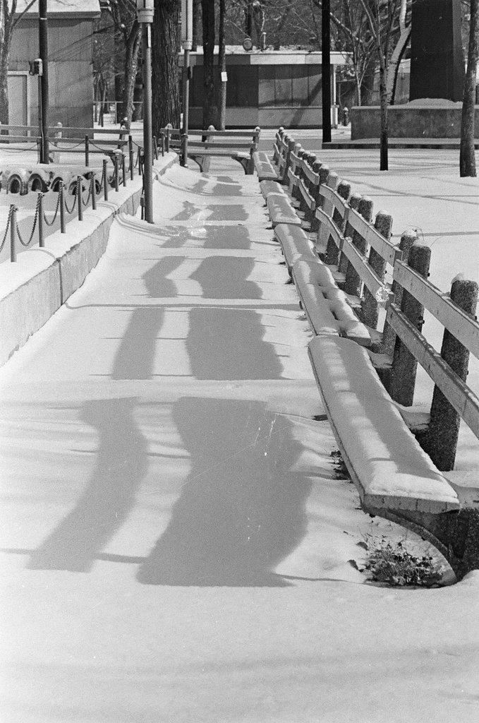 Riverview Amusement Park attractions covered in snow - Chicago Sun-Times