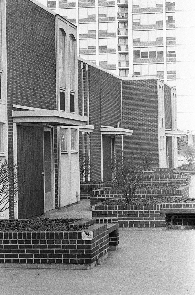 Neighborhood around Maxwell Street - Chicago Sun-Times