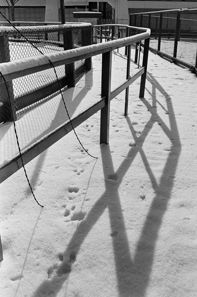 Riverview Amusement Park attractions covered in snow - Chicago Sun-Times