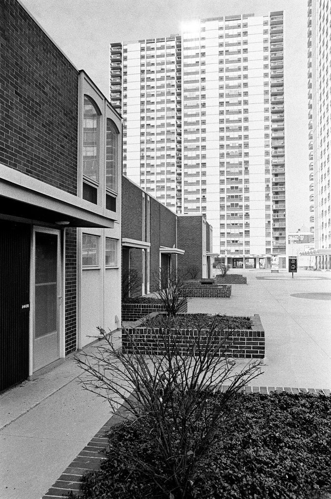 Neighborhood around Maxwell Street - Chicago Sun-Times