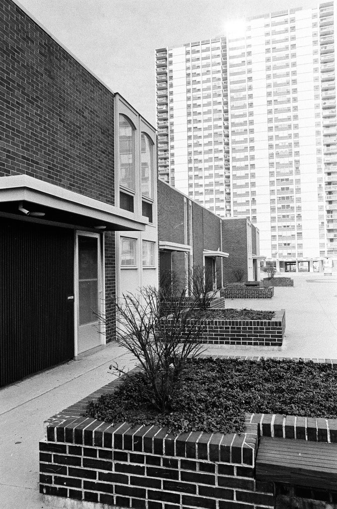 Neighborhood around Maxwell Street - Chicago Sun-Times