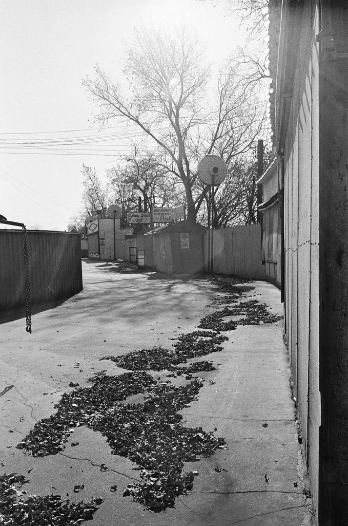 Deserted Riverview Amusement Park - Pete Peters for Chicago Sun-Times