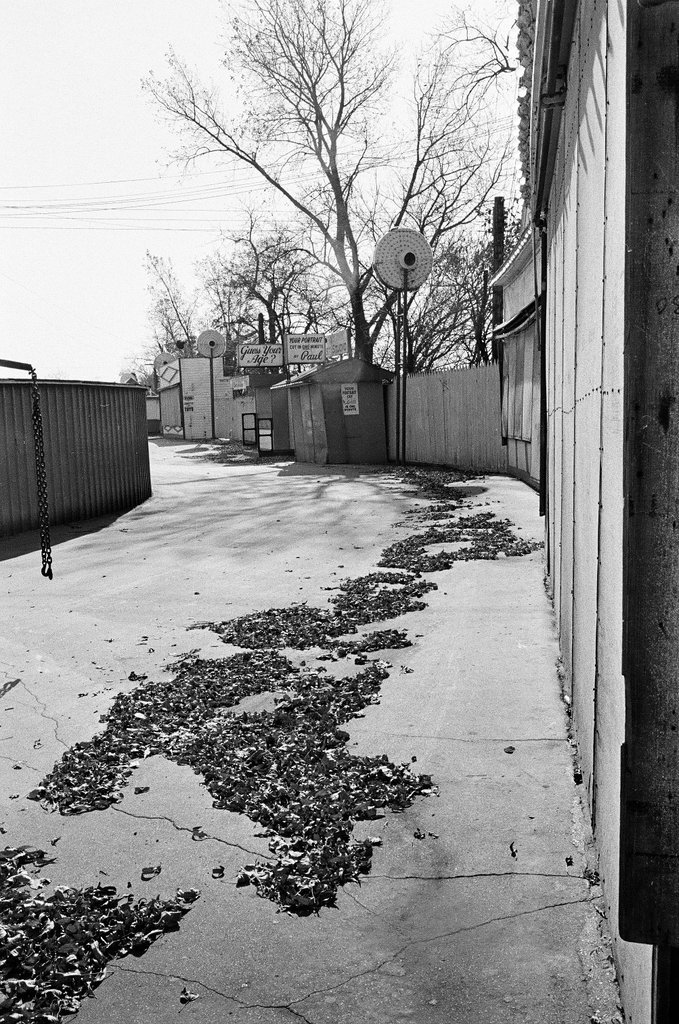 Deserted Riverview Amusement Park - Pete Peters for Chicago Sun-Times