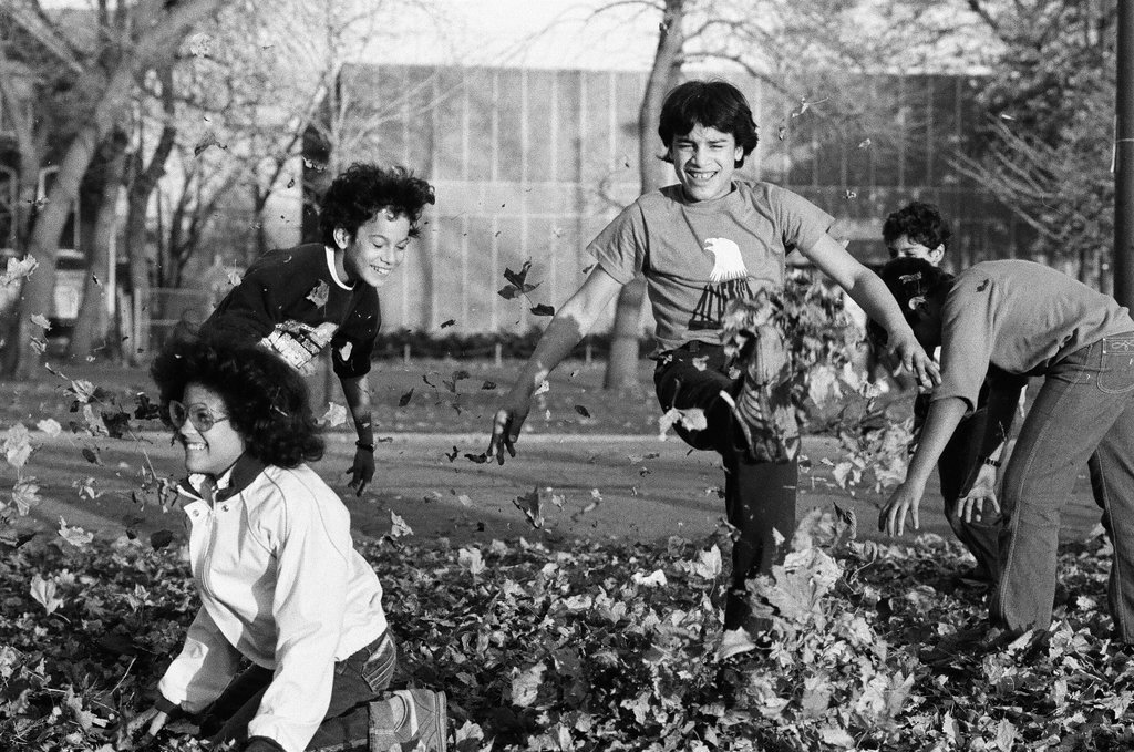 People enjoying Humboldt Park in the fall - Chicago Sun-Times