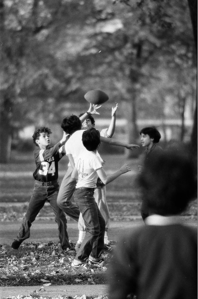 People enjoying Humboldt Park in the fall - Chicago Sun-Times