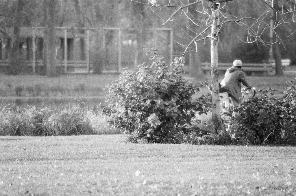 People enjoying Humboldt Park in the fall - Chicago Sun-Times