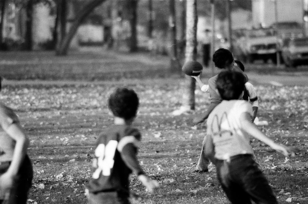 People enjoying Humboldt Park in the fall - Chicago Sun-Times