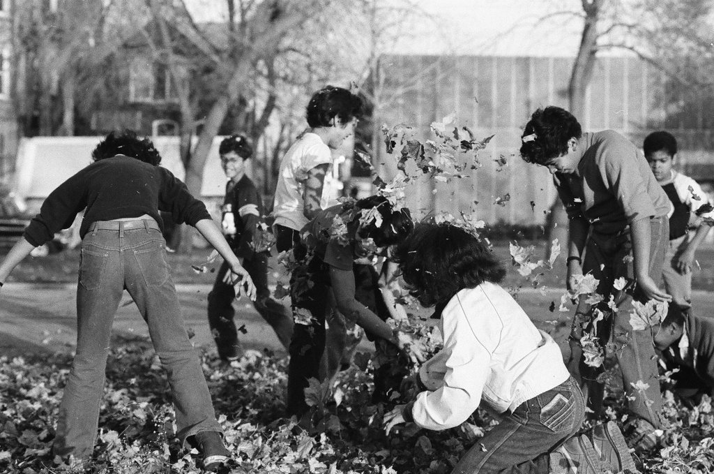 People enjoying Humboldt Park in the fall - Chicago Sun-Times