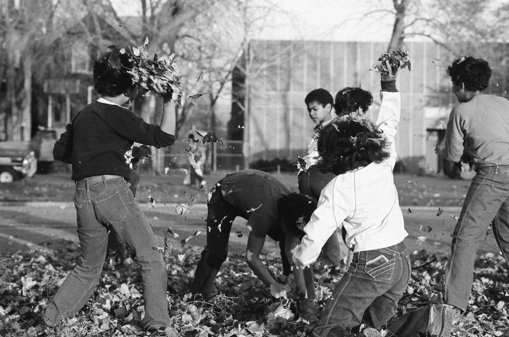 People enjoying Humboldt Park in the fall - Chicago Sun-Times