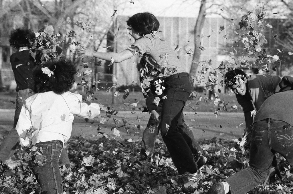 People enjoying Humboldt Park in the fall - Chicago Sun-Times
