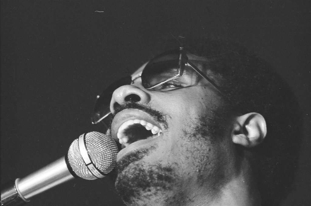 Close-ups from Stevie Wonder concert - John Tweedle for Chicago Sun-Times