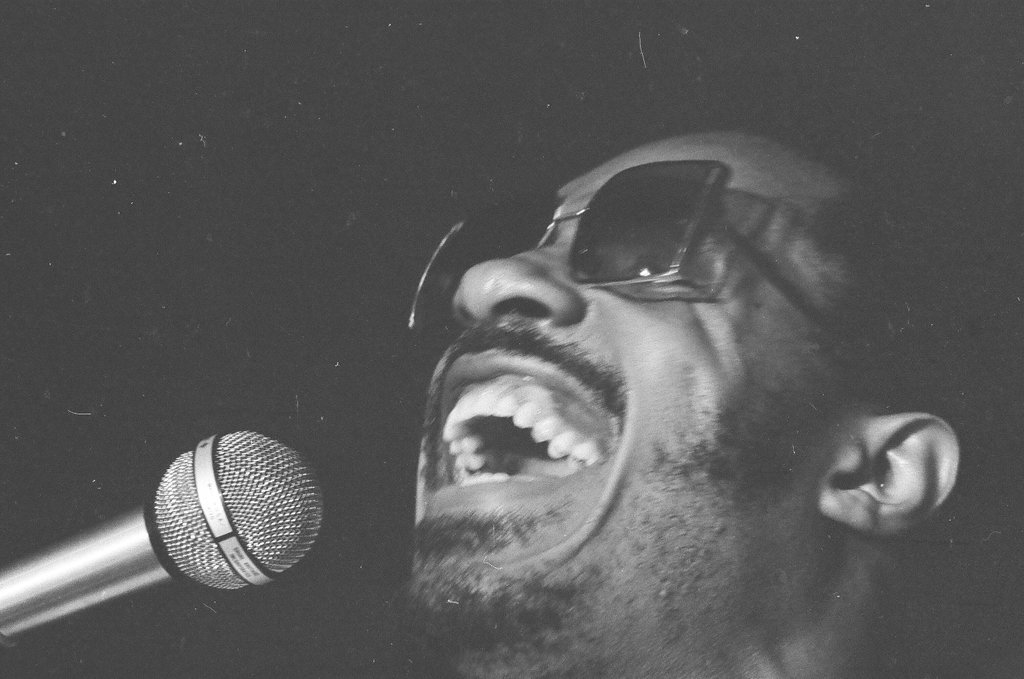Close-ups from Stevie Wonder concert - John Tweedle for Chicago Sun-Times
