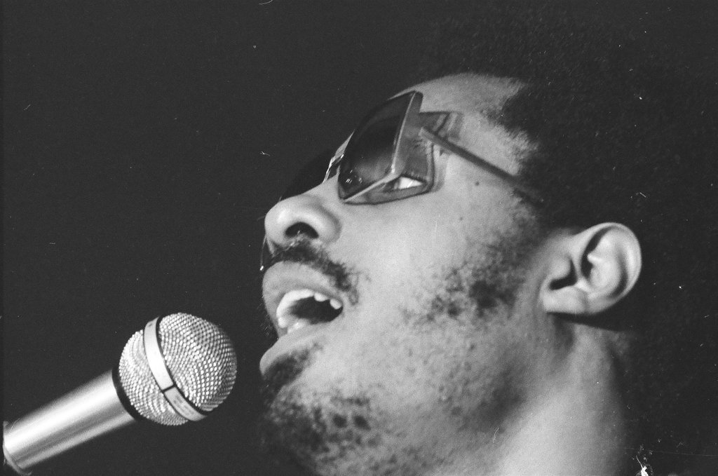 Close-ups from Stevie Wonder concert - John Tweedle for Chicago Sun-Times