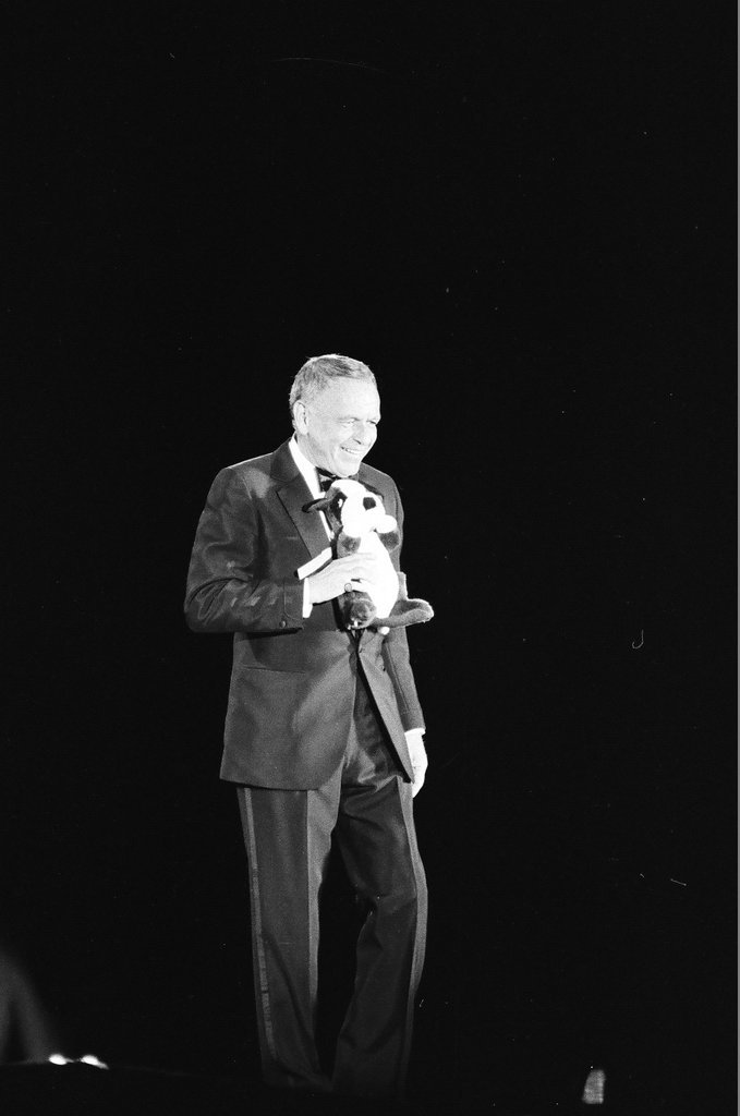 Frank Sinatra performs at ChicagoFest - Phil Velasquez for Chicago Sun-Times