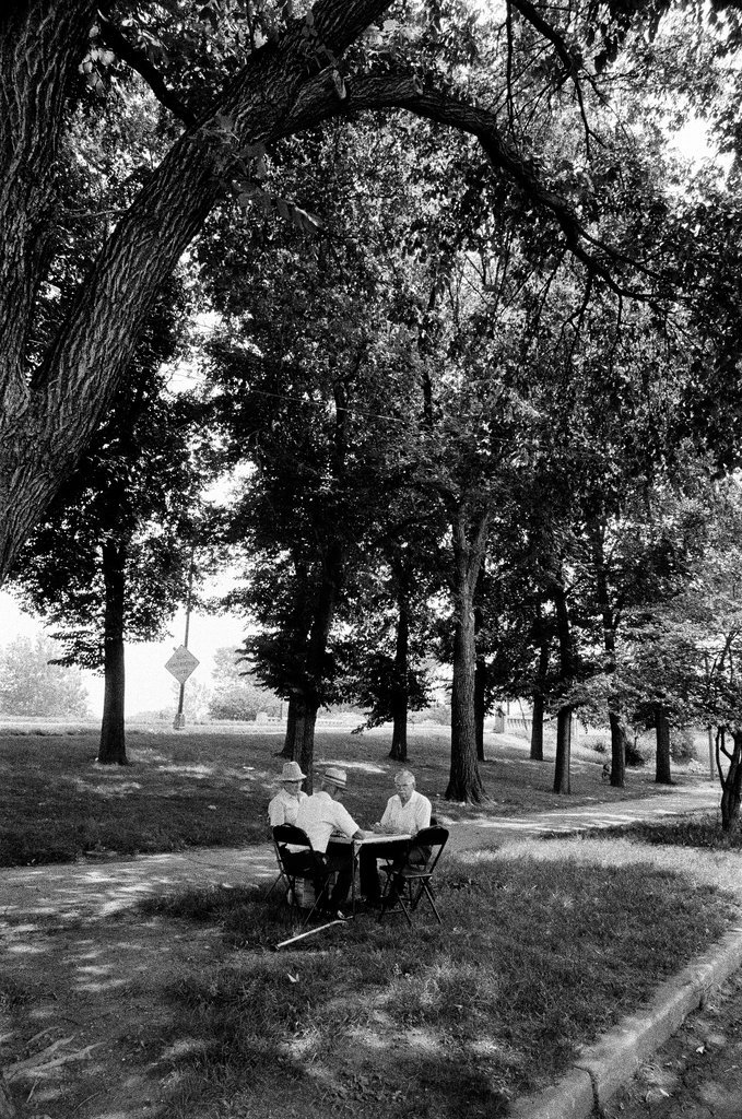 Marquette Park neighborhood - Gene Pesek for Chicago Sun-Times
