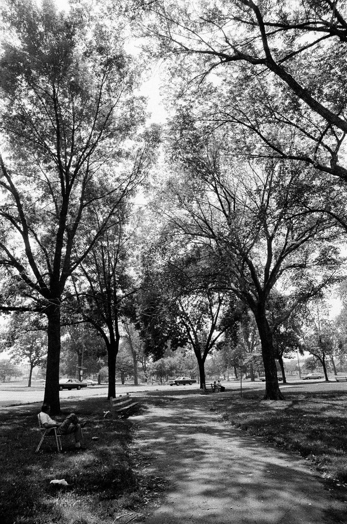 Marquette Park neighborhood - Gene Pesek for Chicago Sun-Times