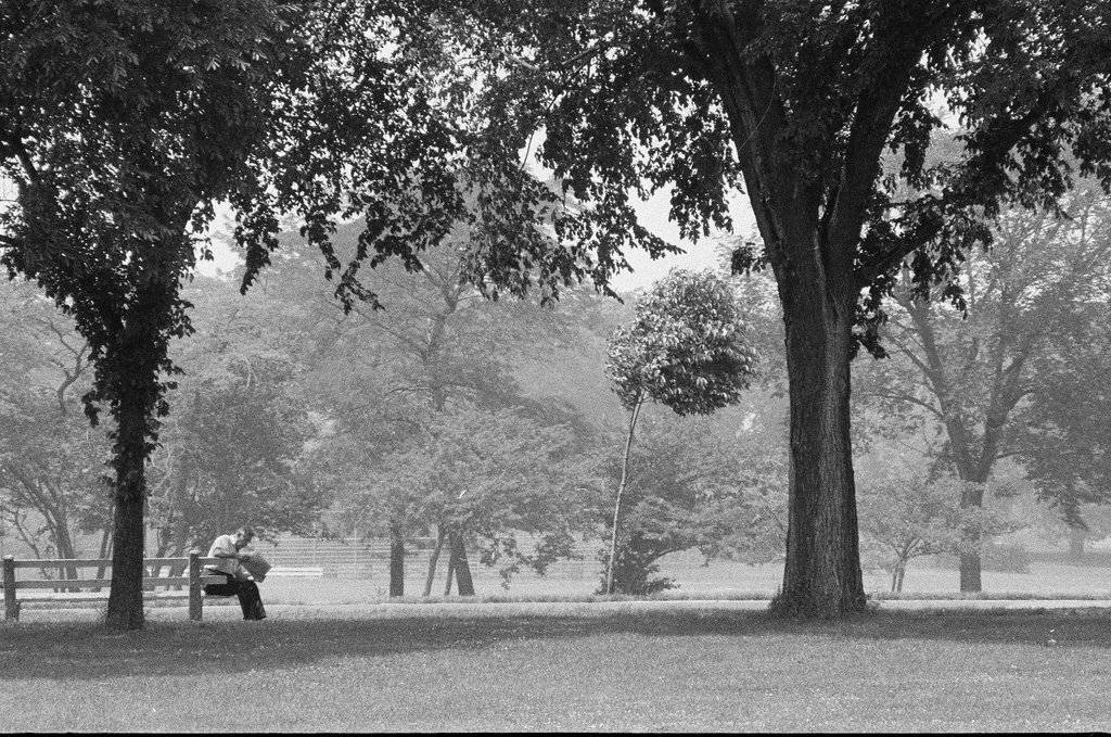 Marquette Park neighborhood - Gene Pesek for Chicago Sun-Times