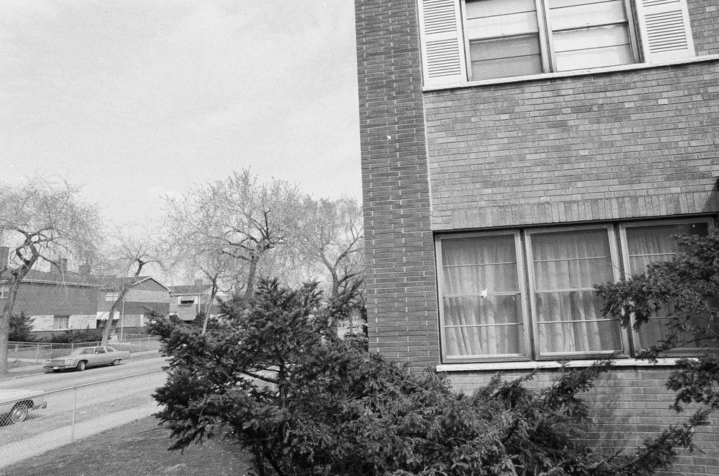 Houses in Austin neighborhood - John H. White for Chicago Sun-Times