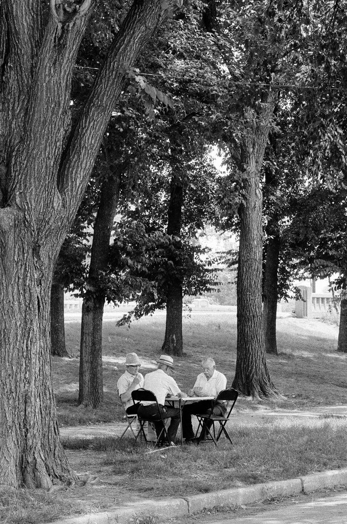Marquette Park neighborhood - Gene Pesek for Chicago Sun-Times