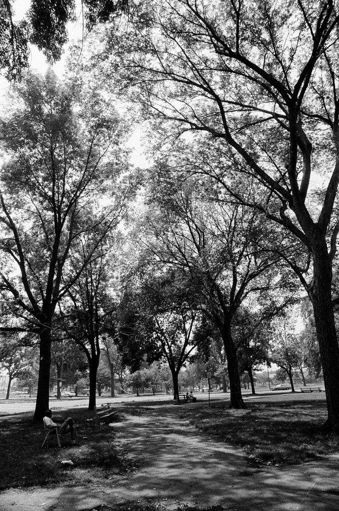 Marquette Park neighborhood - Gene Pesek for Chicago Sun-Times