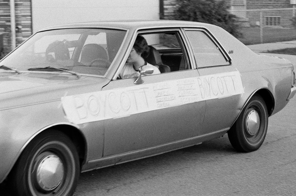 Cars leave Bogan High School boycotting class - Jack Lenahan for Chicago Sun-Times