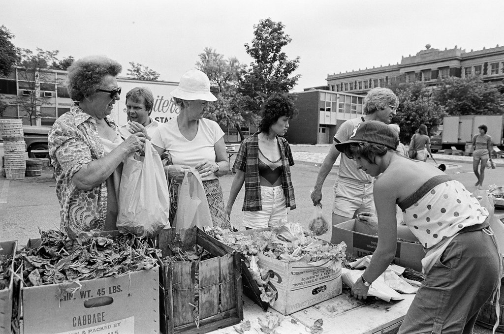 Farmer's Market in Lincoln Park - Richard Derk for Chicago Sun-Times