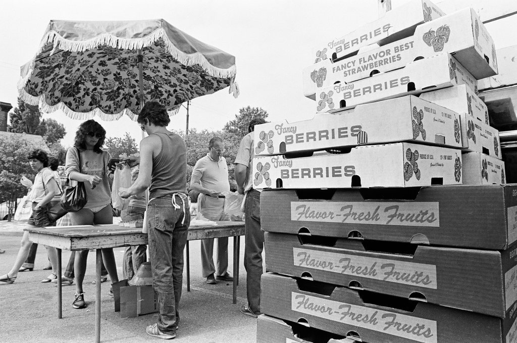 Farmer's Market in Lincoln Park - Richard Derk for Chicago Sun-Times