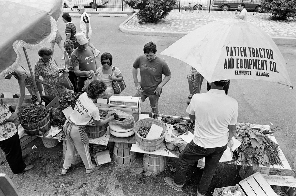 Farmer's Market in Lincoln Park - Richard Derk for Chicago Sun-Times