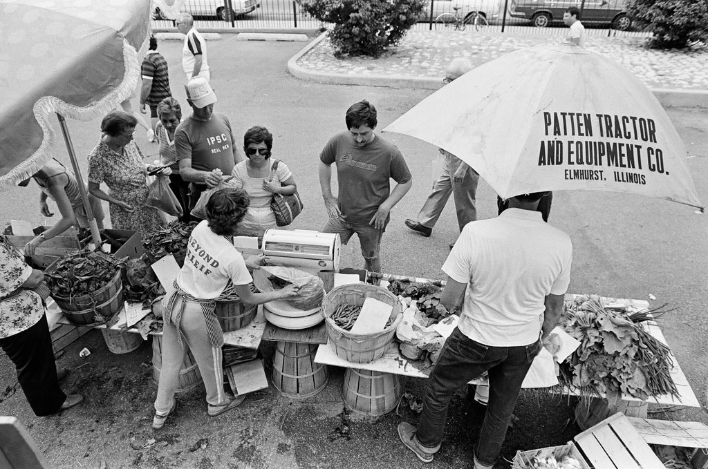 Farmer's Market in Lincoln Park - Richard Derk for Chicago Sun-Times
