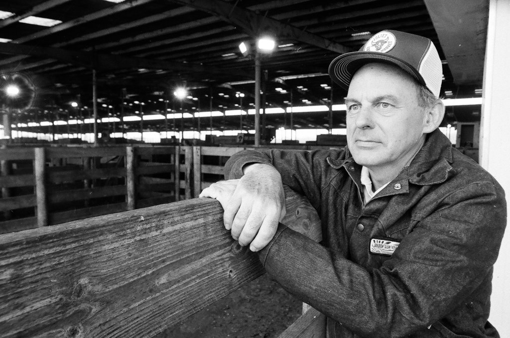 Adlai Stevenson at Chicago-Joliet Livestock Center - Rich Hein for Chicago Sun-Times