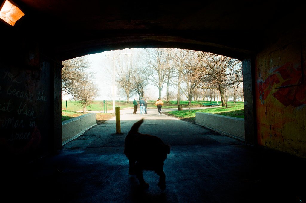 Views of South Lake Shore Drive during plans for redevelopment - Rich Hein for Chicago Sun-Times