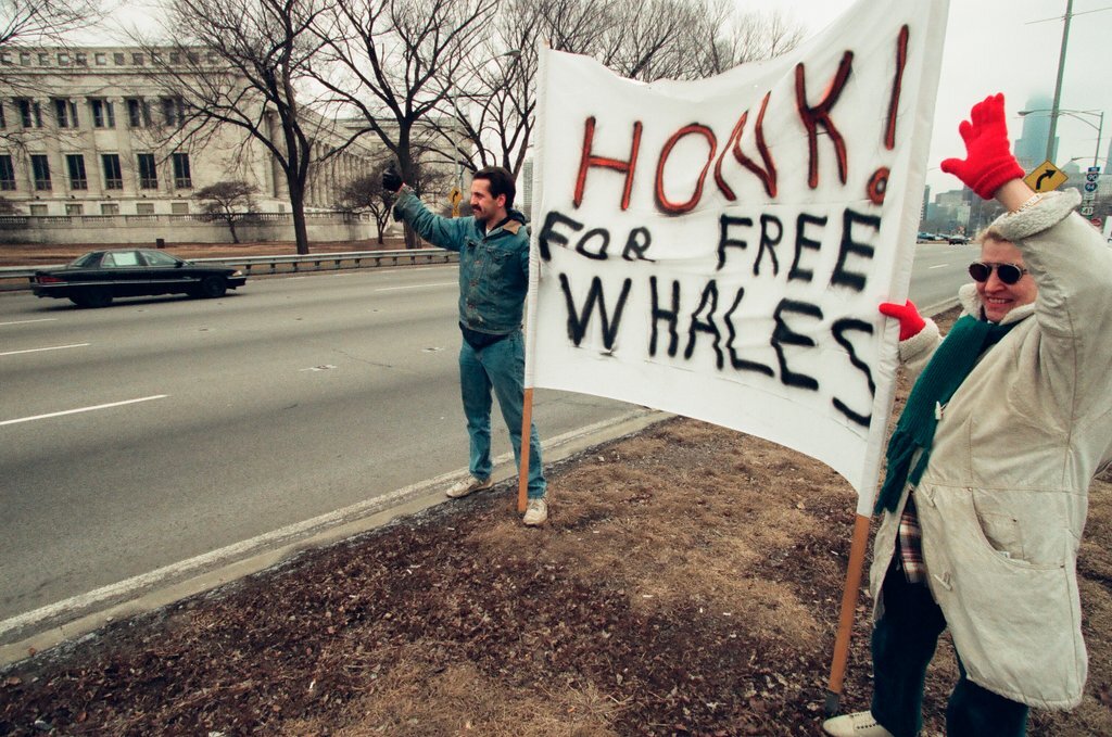 Chicago Animal Rights Coalition protest at Shedd Aquarium - Robert A. Davis for Chicago Sun-Times