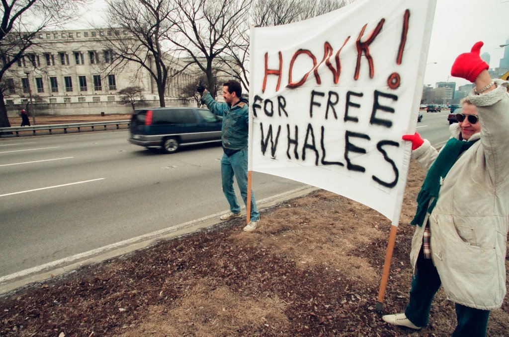 Chicago Animal Rights Coalition protest at Shedd Aquarium - Robert A. Davis for Chicago Sun-Times