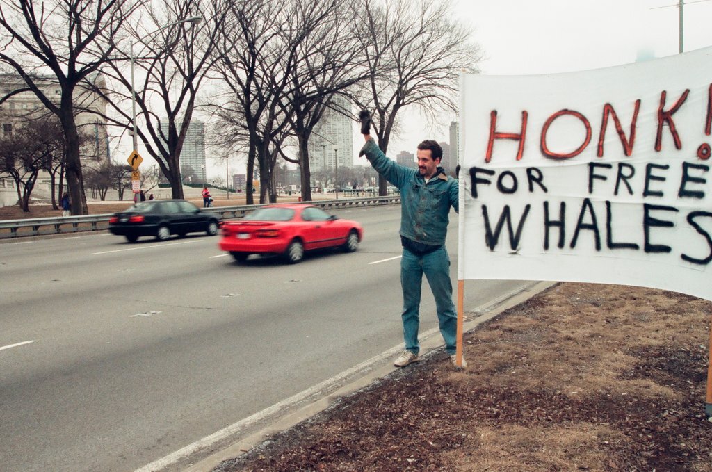 Chicago Animal Rights Coalition protest at Shedd Aquarium - Robert A. Davis for Chicago Sun-Times