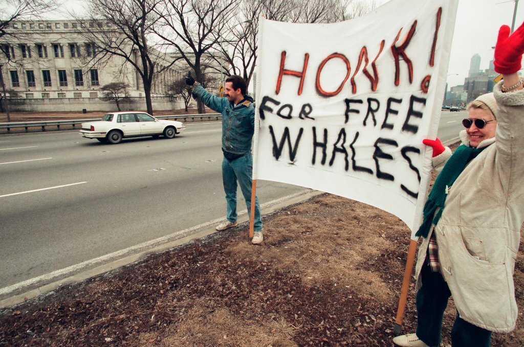 Chicago Animal Rights Coalition protest at Shedd Aquarium - Robert A. Davis for Chicago Sun-Times