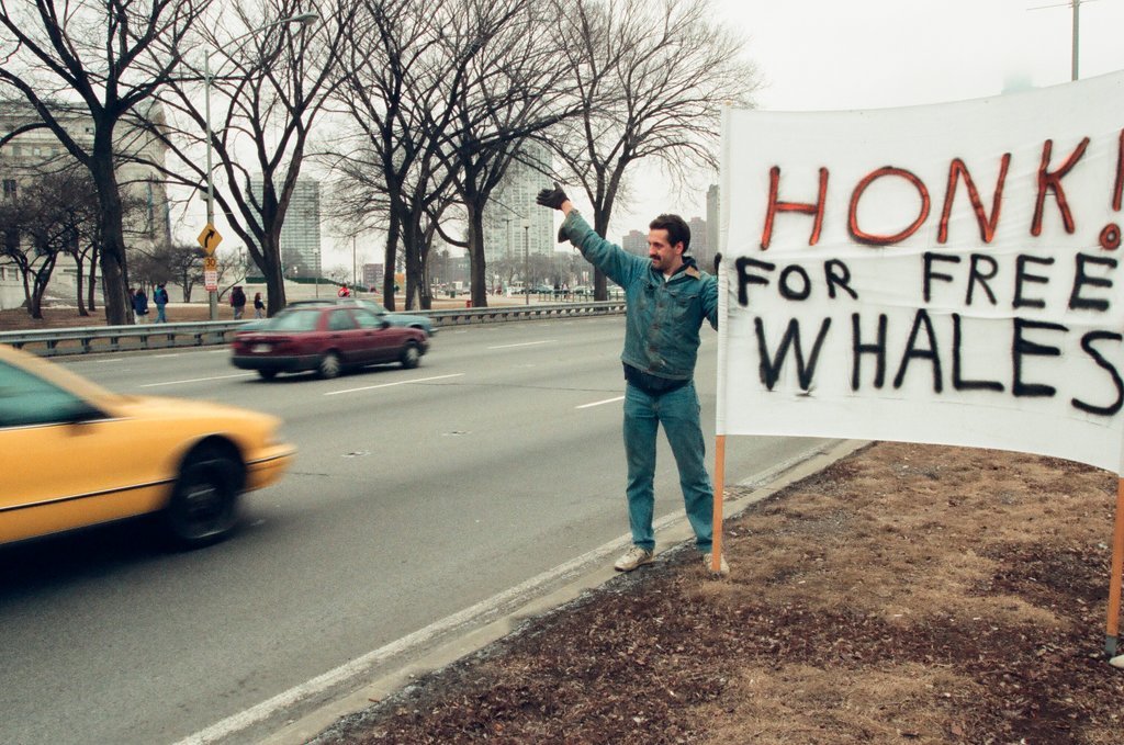 Chicago Animal Rights Coalition protest at Shedd Aquarium - Robert A. Davis for Chicago Sun-Times