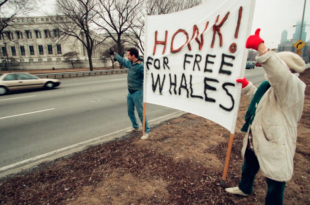 Chicago Animal Rights Coalition protest at Shedd Aquarium - Robert A. Davis for Chicago Sun-Times