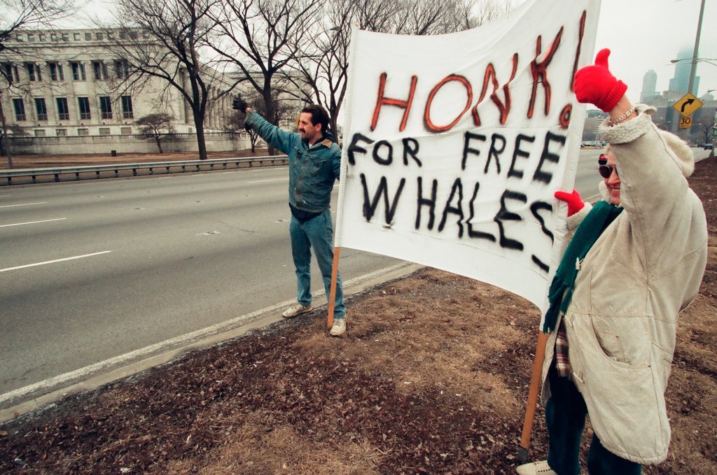 Chicago Animal Rights Coalition protest at Shedd Aquarium - Robert A. Davis for Chicago Sun-Times