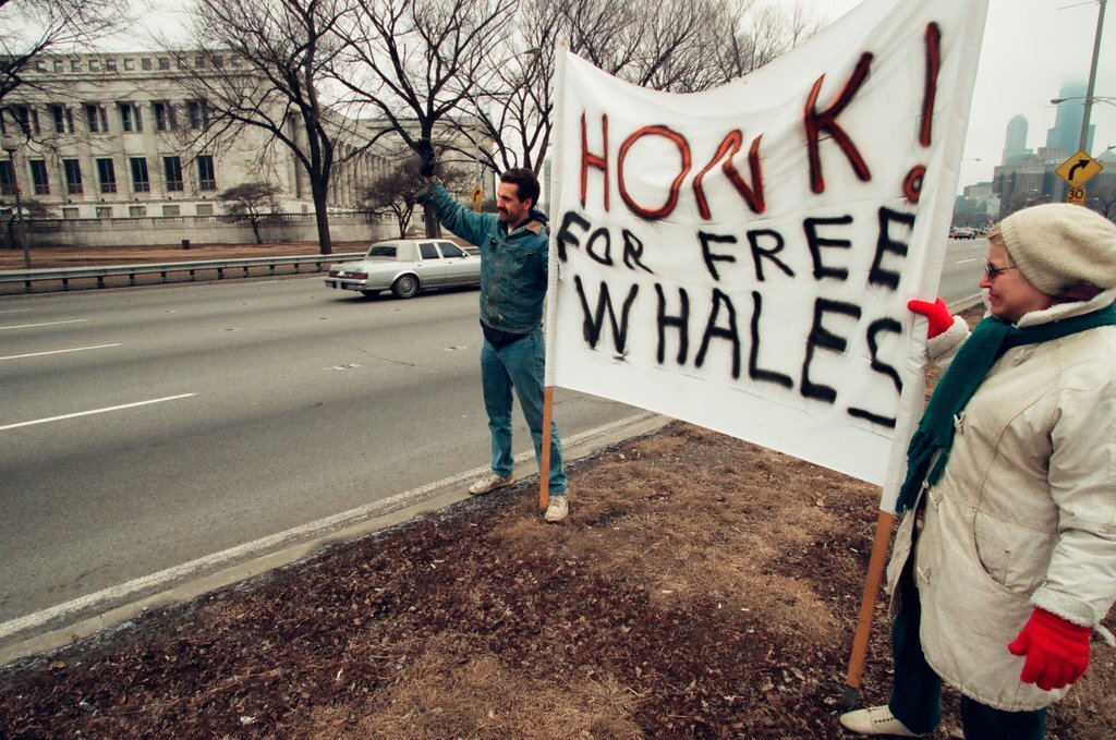 Chicago Animal Rights Coalition protest at Shedd Aquarium - Robert A. Davis for Chicago Sun-Times